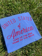 United States of America Embroidered Comfort Color Tee | QUICK SHIP - Merch Girls