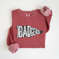 Badgers Pennant DTF Transfer - Merch Girls