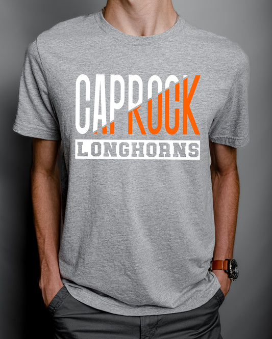 Caprock Longhorns DTF Transfer