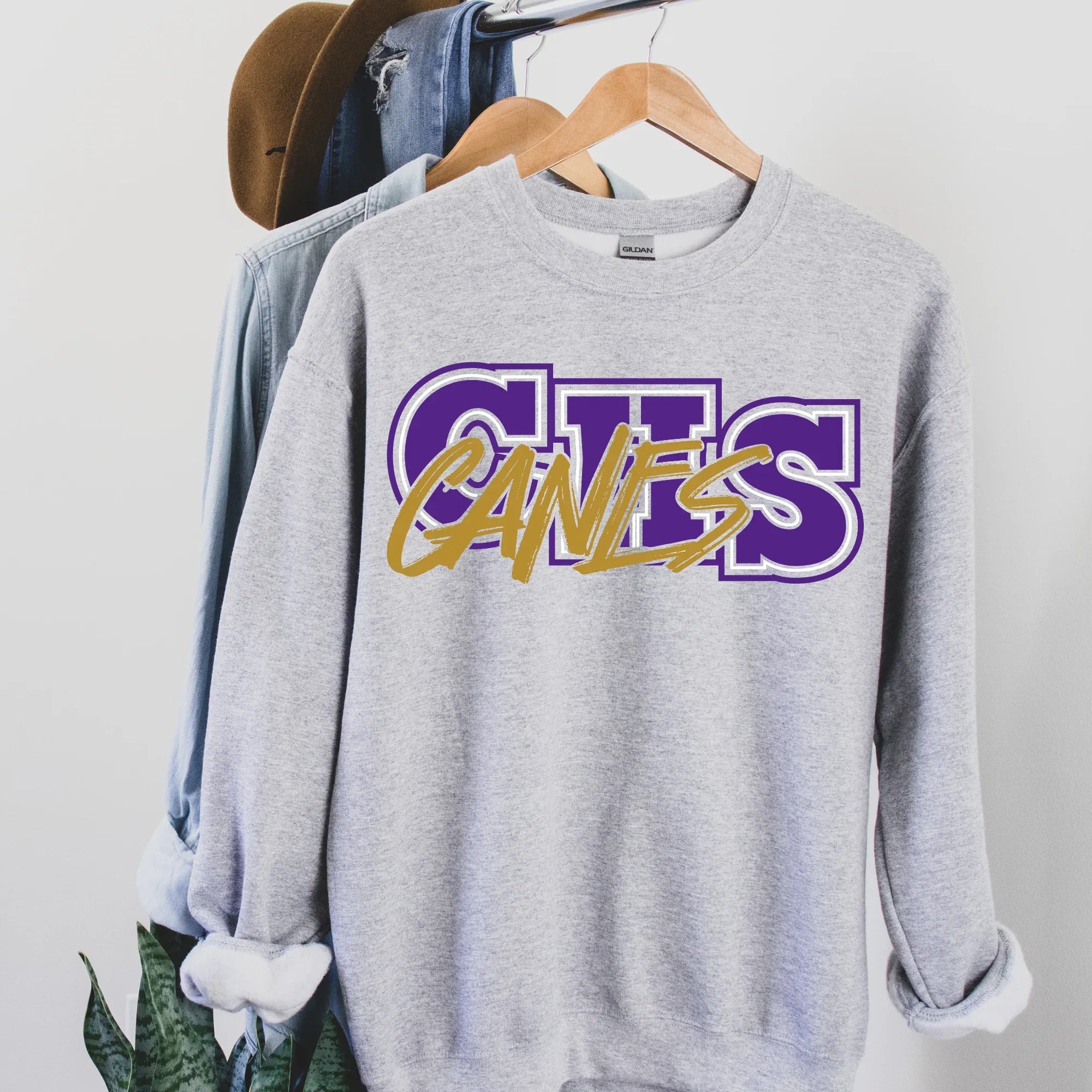 CHS Canes DTF Transfer - Merch Girls