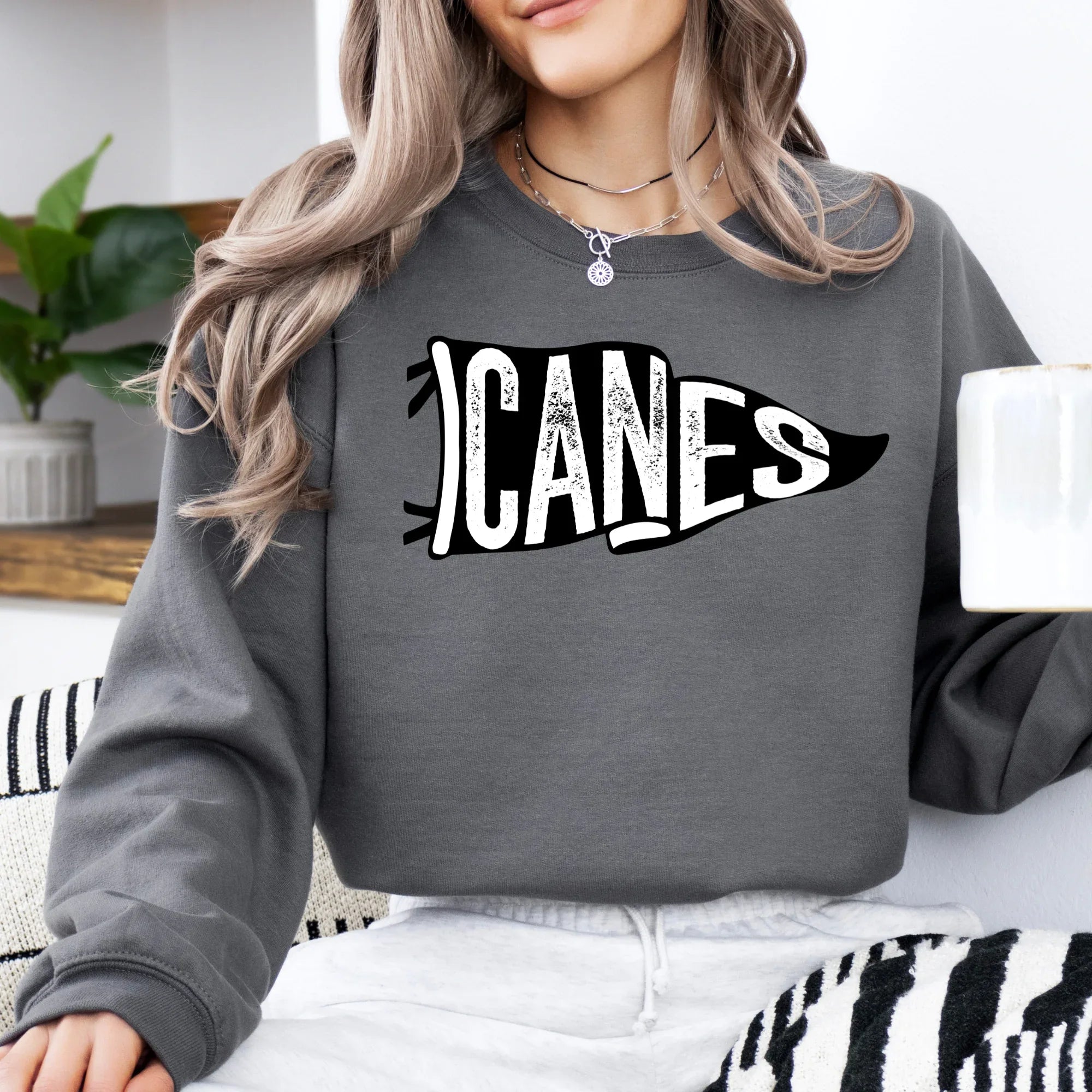 Canes Pennant DTF Transfer - Merch Girls
