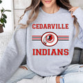 Cedarville Indians DTF Transfer - Merch Girls