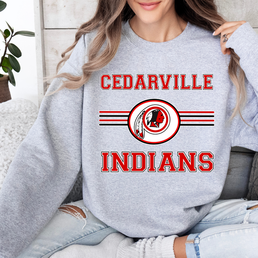 Cedarville Indians DTF Transfer