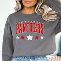 Daviess County Panthers Distressed Stars DTF Transfer - Merch Girls