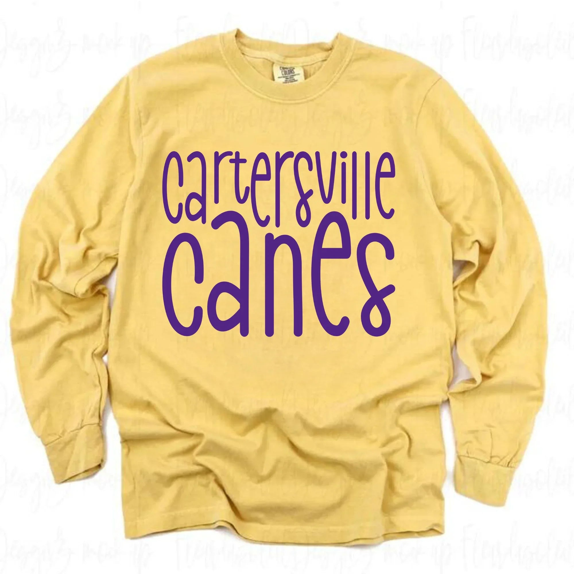 Cartersville Canes DTF Transfer - Merch Girls