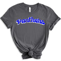 Panthers DTF Transfer - Merch Girls