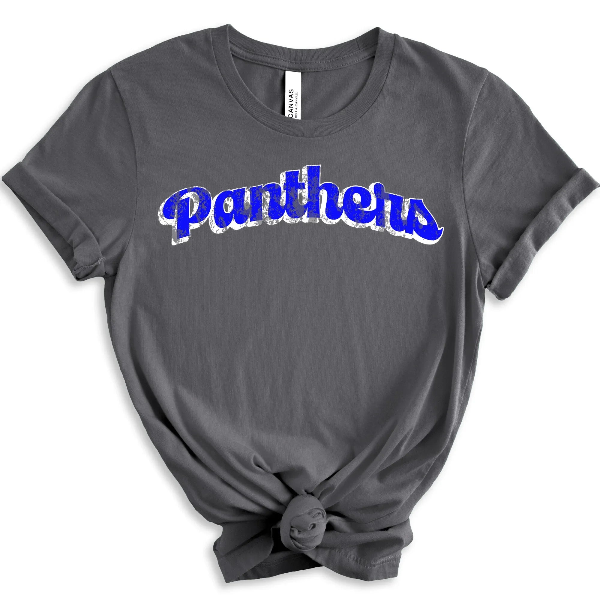 Panthers DTF Transfer - Merch Girls