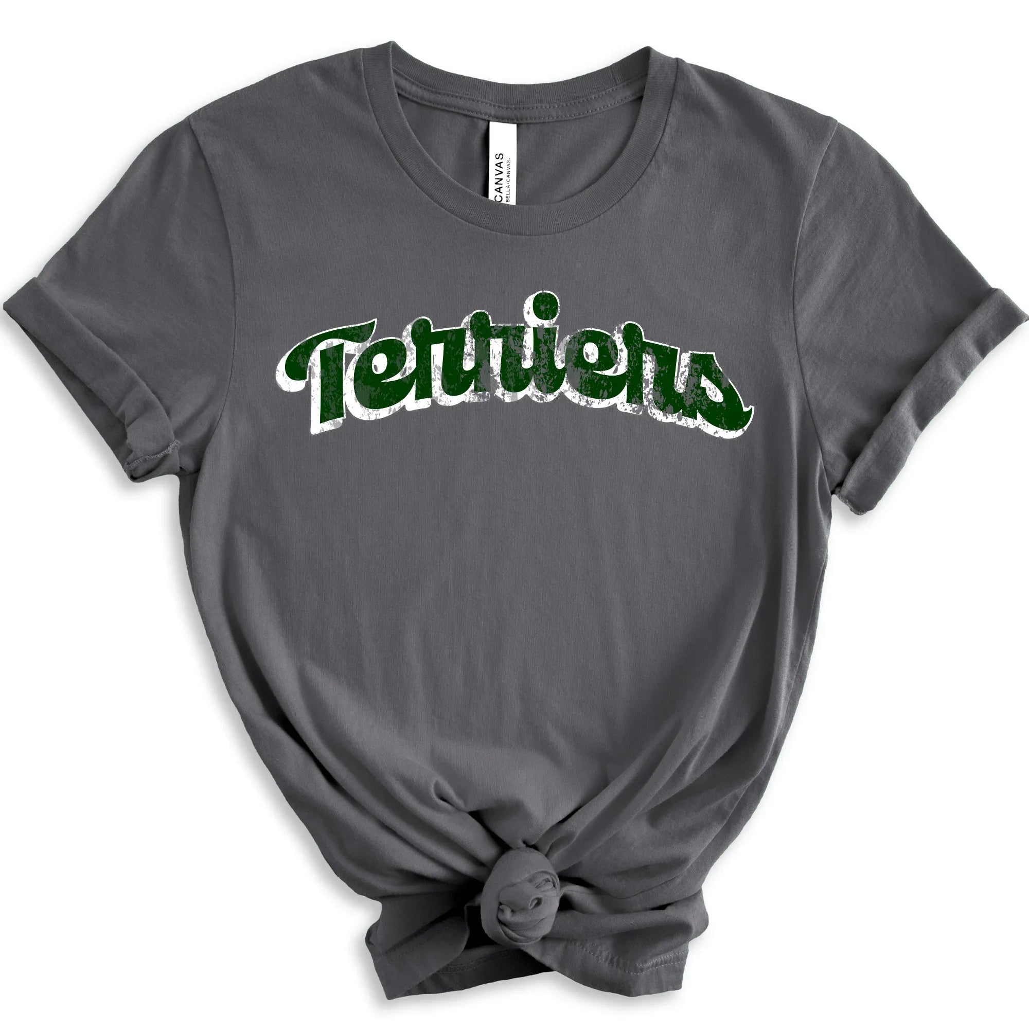 Terriers DTF Transfer - Merch Girls