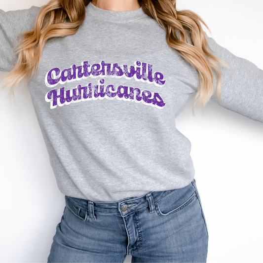 Cartersville Hurricanes Distressed Curve DTF Transfer