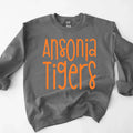 Ansonia Tigers DTF Transfer - Merch Girls