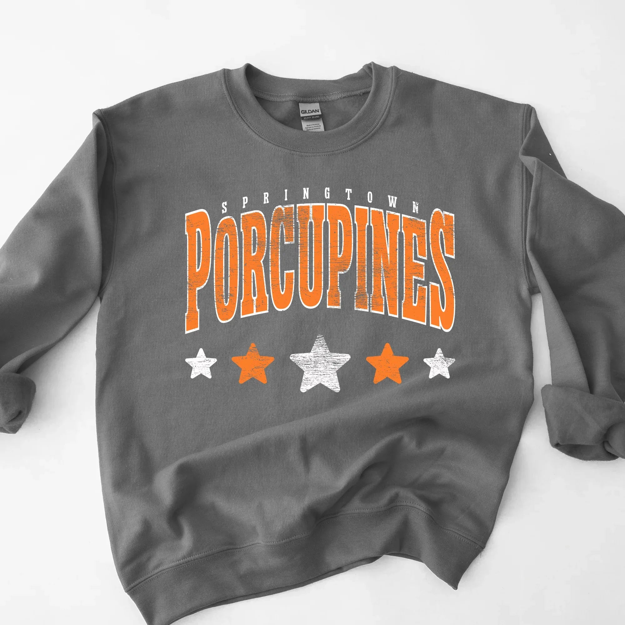 Springtown Porcupines DTF Transfer - Merch Girls