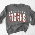 Princeton Tigers Baseball DTF Transfer - Merch Girls