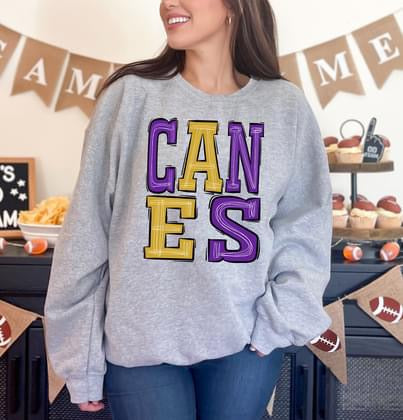 Canes Purple and Yellow Gold Sporty Varsity Doodle DTF Transfer