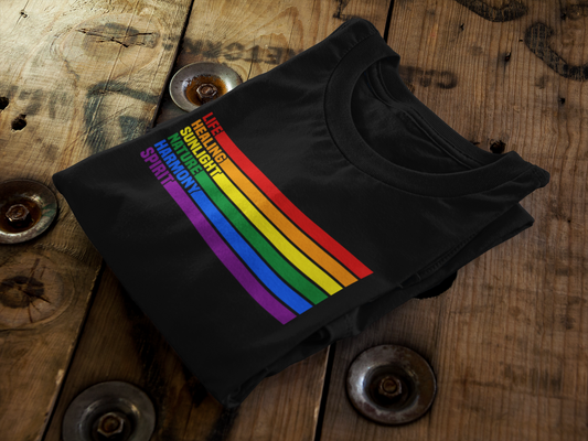 Pride Flag Color Meanings Graphic Tee