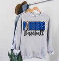 Panthers Baseball DTF Transfer - Merch Girls