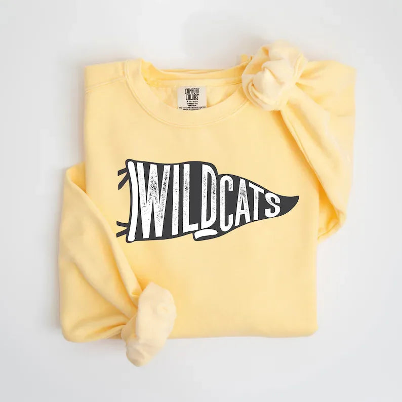 Wildcats Pennant DTF Transfer - Merch Girls