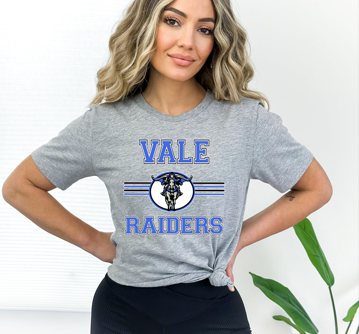 Vale Raiders