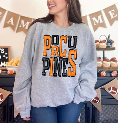 Porcupines Sporty Varsity Doodle DTF Transfer