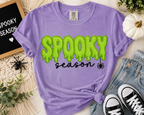 Spooky Season Embroidered Halloween Shirt | Glitter Appliqué Tee & Sweatshirt