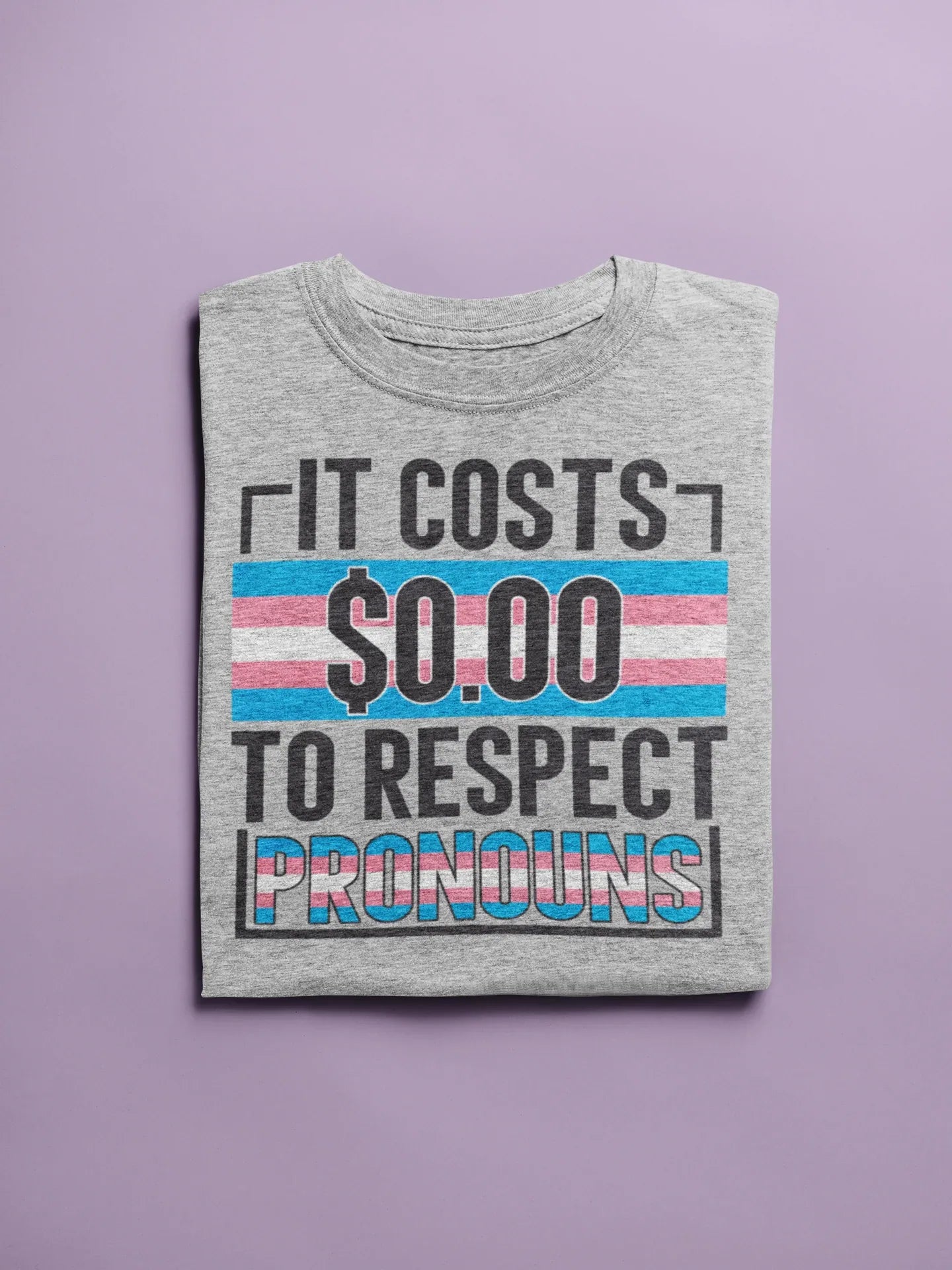 It Costs $0 to Respect Pronouns Graphic Tee - Merch Girls