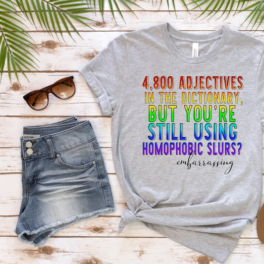4800 Adjectives In The Dictionary Pride Graphic Tee